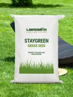 Lawnsmith STAYGREEN Grass Seed