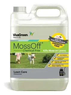 VivaGreen MossOff Chemical Free 5L 