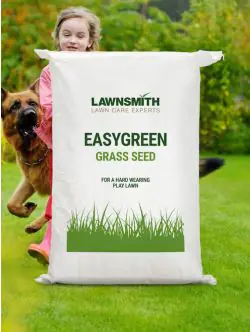 Lawnsmith EASYGREEN Grass Seed