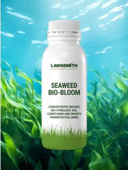 Lawnsmith Seaweed Bio-Bloom
