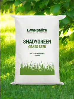 Lawnsmith SHADYGREEN Grass Seed