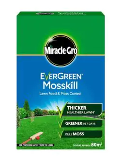 Miracle-Gro Evergreen Mosskill Granules