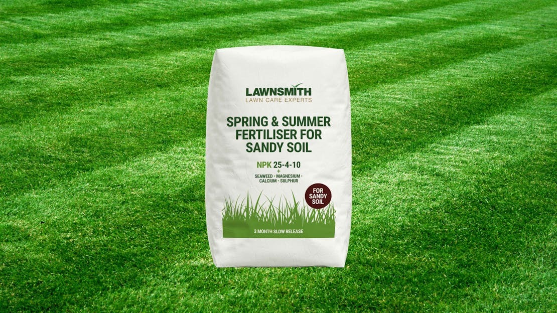 Sandy soils lawn food