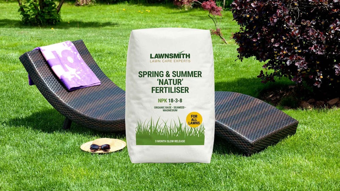Best Lawn Food for Summer