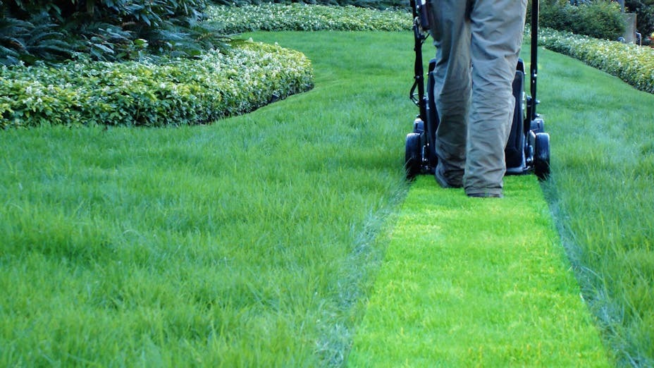 grass-cutting-tips-and-tricks