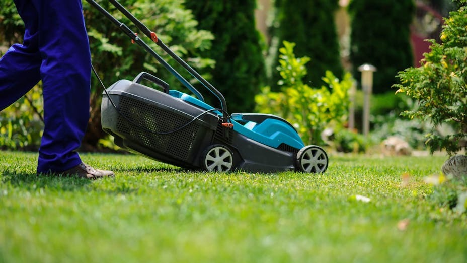 how-often-to-mow-the-lawn