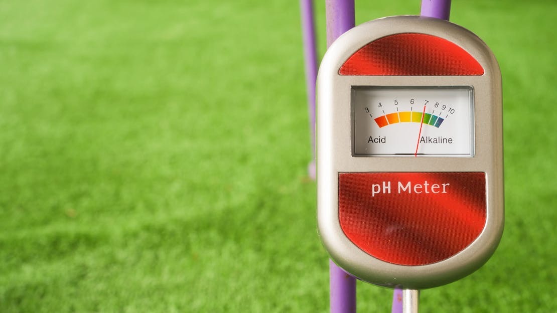 soil and lawn pH values