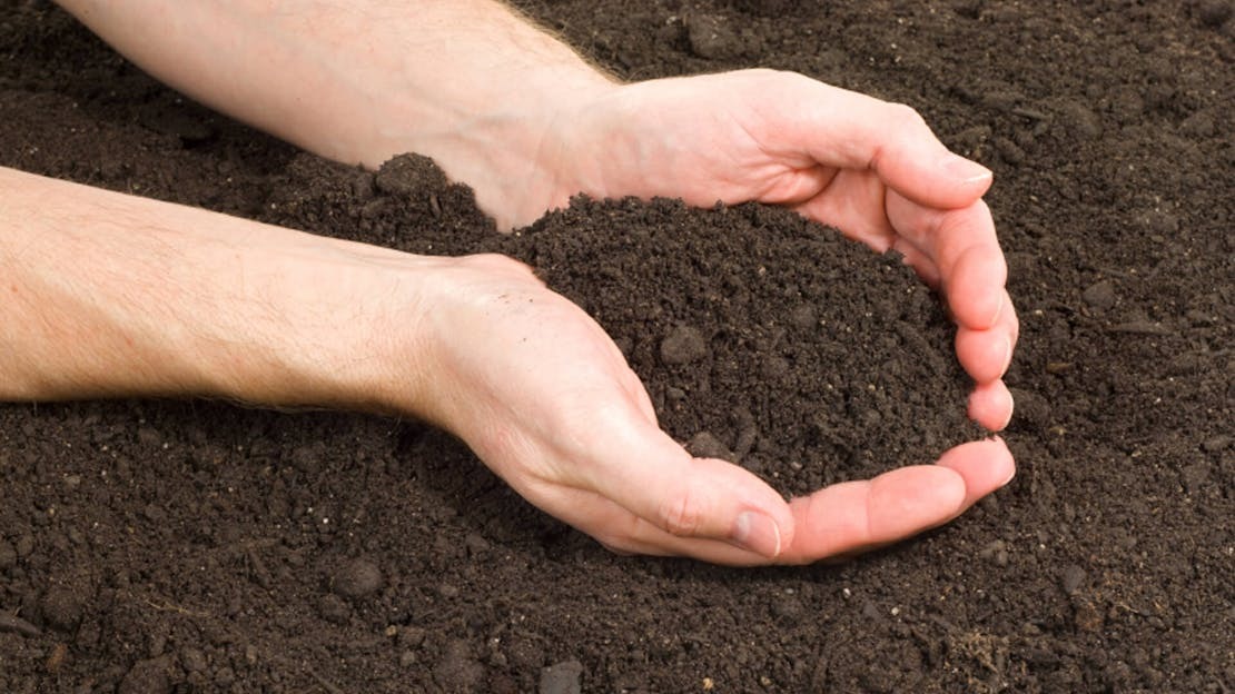 soil ph and fertiliser 